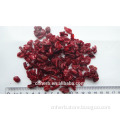 natural and good color Asiatic Cornelian Cherry Fruit CORNI FRUCTUS